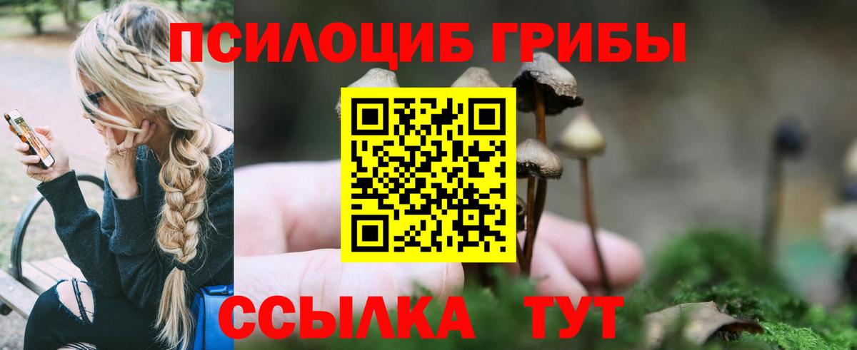 Псилоцибиновые грибы мицелий  Вход с VPN  Тайшет 